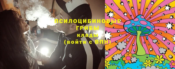 дмт Армянск