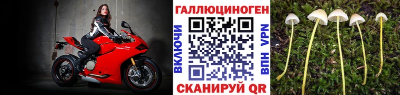 Галлюциногенные грибы GOLDEN TEACHER  Приозерск 